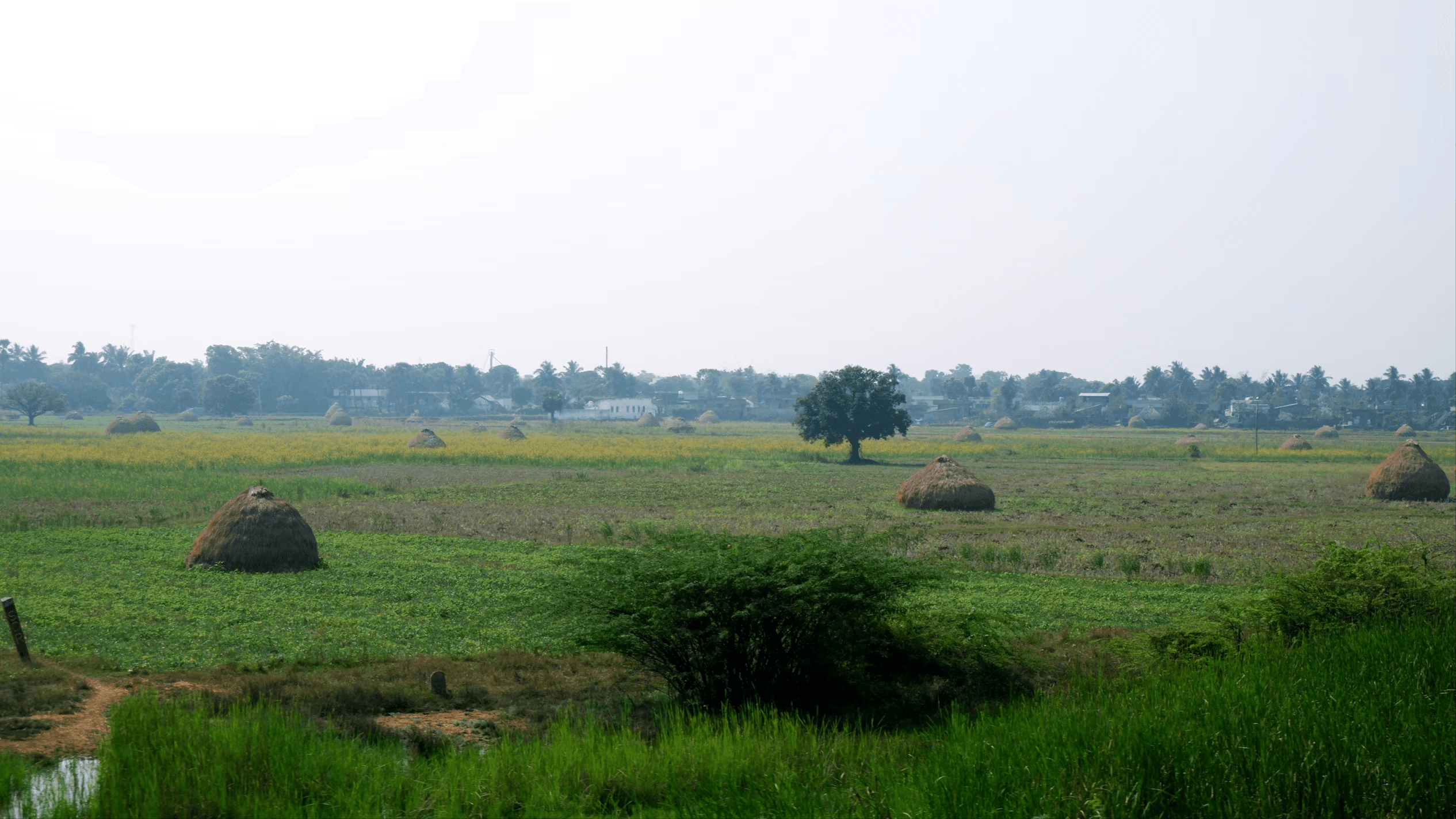 Land & Plots