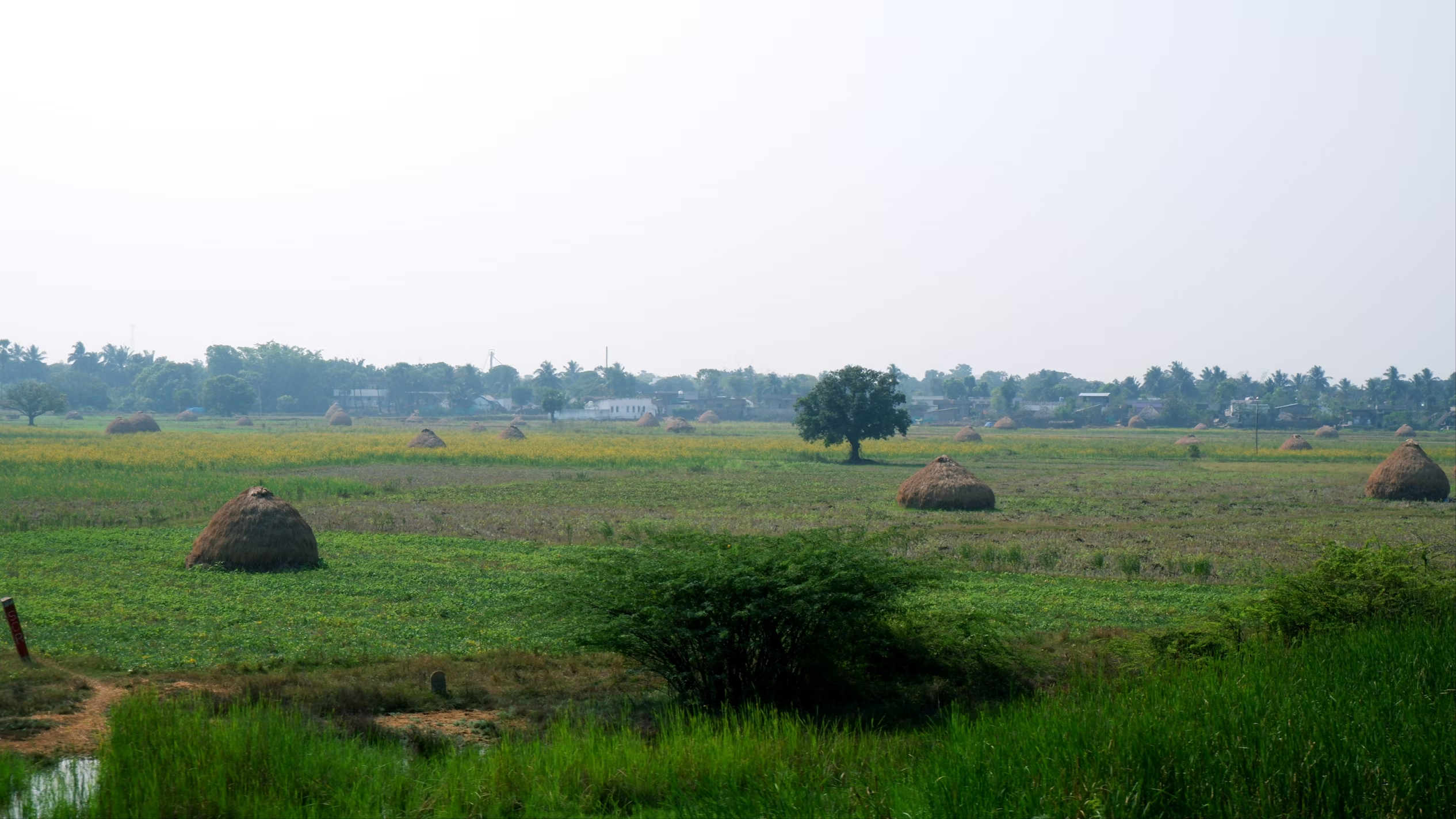 Land & Plots